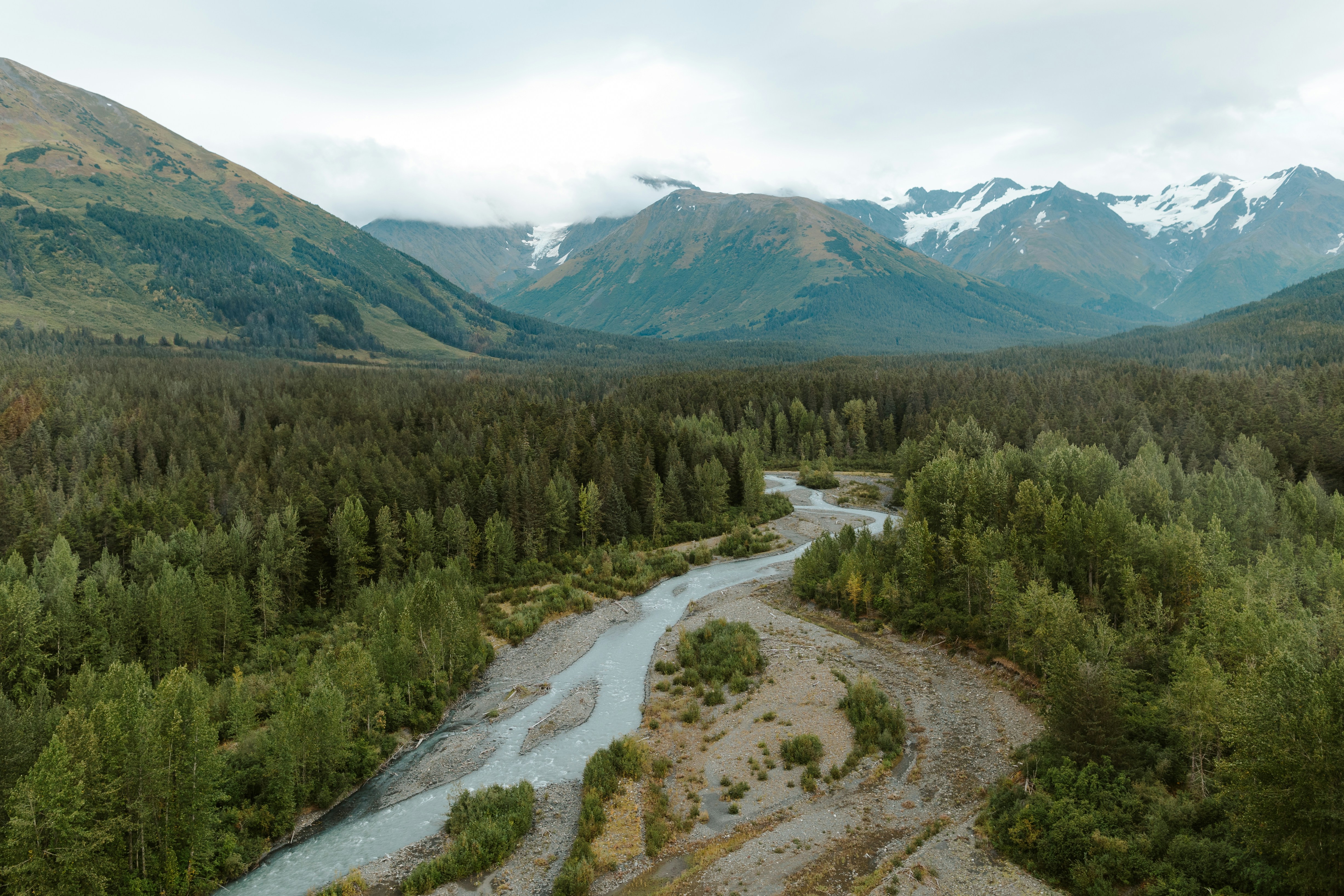 Primary ecosystem image or film